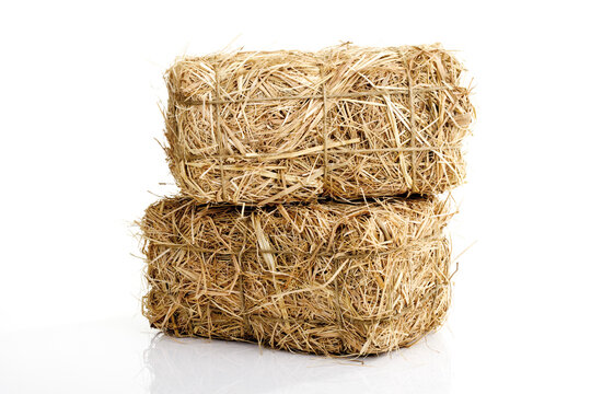 Bale of hay