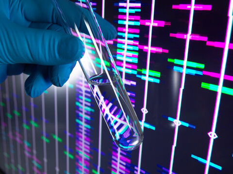 Gloved hand holding test tube against DNA genomics display in lab