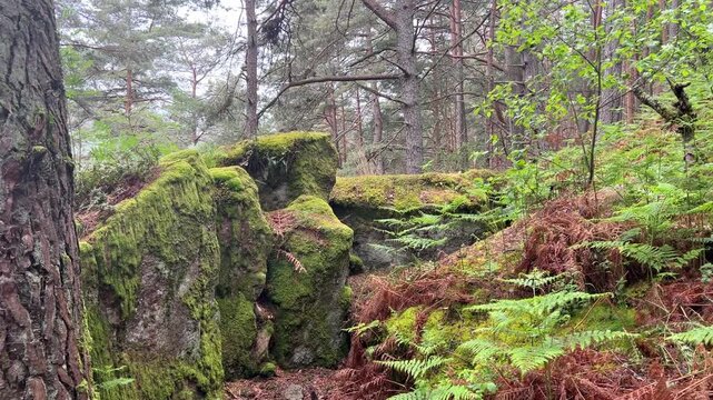 Pfalz im Fr&uuml;hling