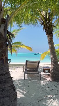 Beach lounge between palm trees on tropical beach with turquoise ocean water and white sand under clear blue sky.