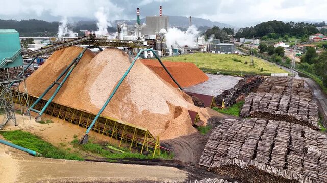 Aerial view of a large pulp and paper mill industry