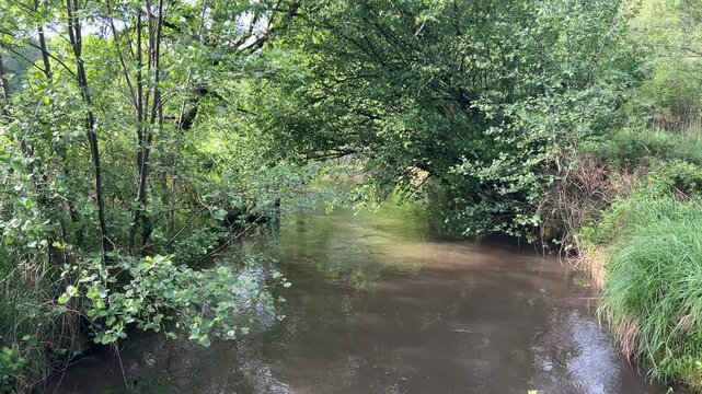 Pfalz im Sommer
