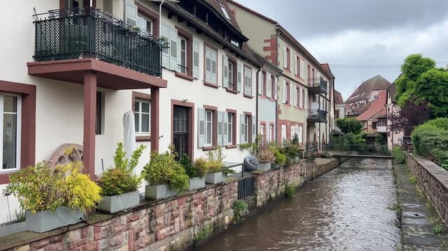 Pfalz im Fr&uuml;hling