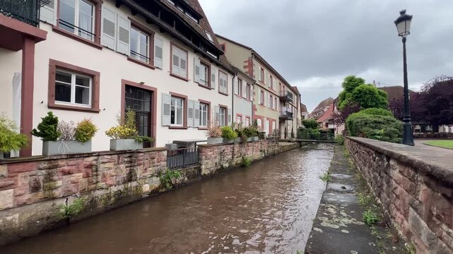 Pfalz im Fr&uuml;hling