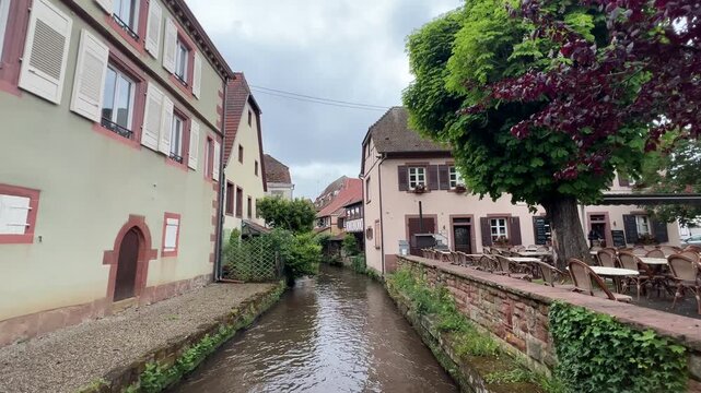 Pfalz im Fr&uuml;hling