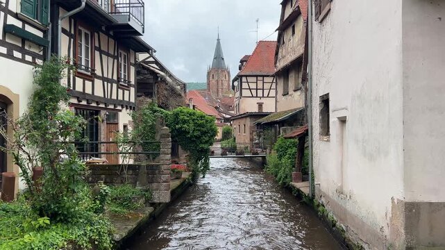 Pfalz im Fr&uuml;hling