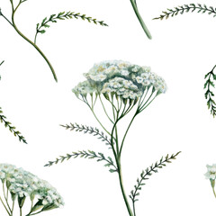 Yarrow seamless pattern watercolor illustration. Achillea medicinal herb for wound healing pharmacy branding, antiinflammatory remedy packaging, acne skin care design, herbal wellness print © AnKa