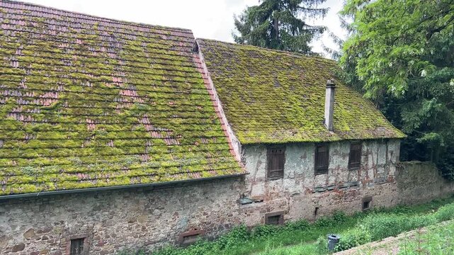 Pfalz im Fr&uuml;hling