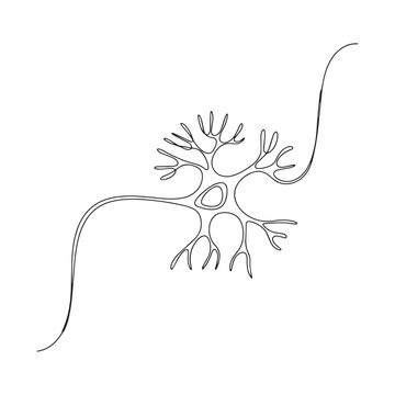 Single line art of human neuron cell depicting neural network and nervous system structure.