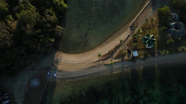 Top down drone view of curved tropical beach with palms and clear water