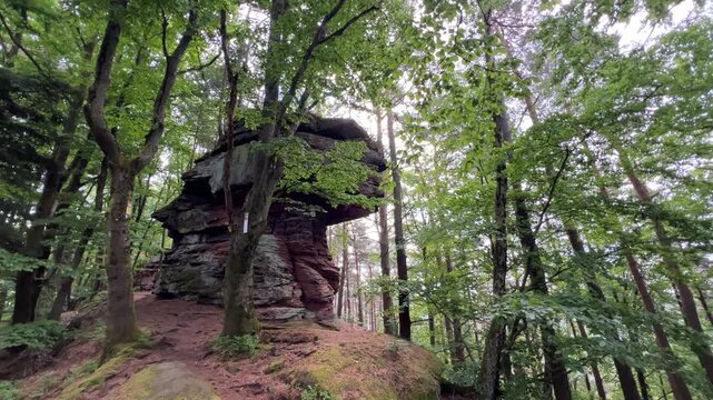 Pfalz im Fr&uuml;hling