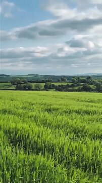 wide angle view of rolling green hills and windy grass fields under clouds