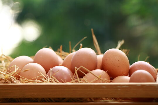 A high-angle, close-up shot shows a cluster of smooth, brown chicken eggs packed inside a cream-colored textile pouch. The bag is gathered at the edges, resting on a warm, dark wood surface. The light