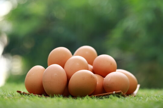 A high-angle, close-up shot shows a cluster of smooth, brown chicken eggs packed inside a cream-colored textile pouch. The bag is gathered at the edges, resting on a warm, dark wood surface. The light