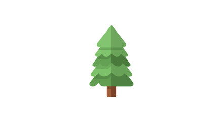 Obraz premium Green Pine Tree Evergreen Plant.