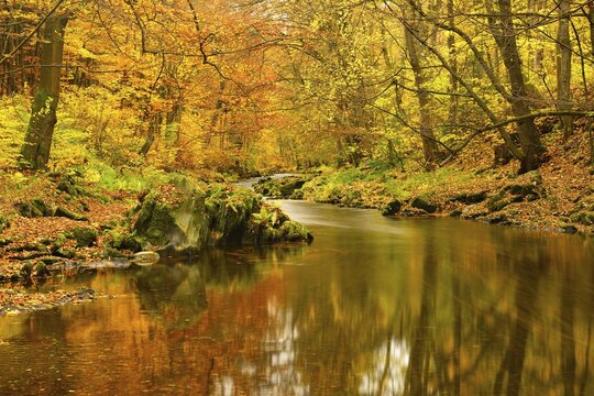 Schwarza River in the autumn, Schwarza valley between Bad Blankenburg and Schwarzburg, Thuringia, Germany