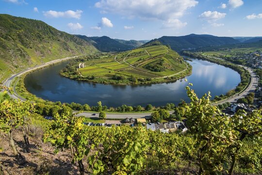 River bend of the Moselle, Bremm, Moselle valley, Rhineland-Palatinate, Germany