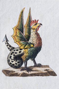 Basilisk, hand-colored copper engraving from children's picture book by Friedrich Justin Bertuch, Weimar, 1792