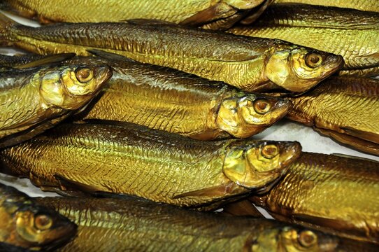 Smoked Whitefish (Coregonus hoferi) in the fish shop of the fisherman Thomas Lex on Fraueninsel, Women's Island, Lake Chiemsee, Chiemgau, Bavaria, Germany, Europe