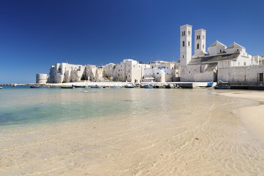 Fishing boats in the harbor, historic centre, Romanesque Old Cathedral, San Corrado and Torrione Passari, Molfetta, Bari Province, Apulia, Italy