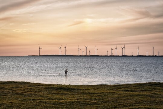 People, silhouettes in the Baltic Sea, wind turbines on the horizon, evening sky at sunset, Burgsvik, Gotland Island, Sweden