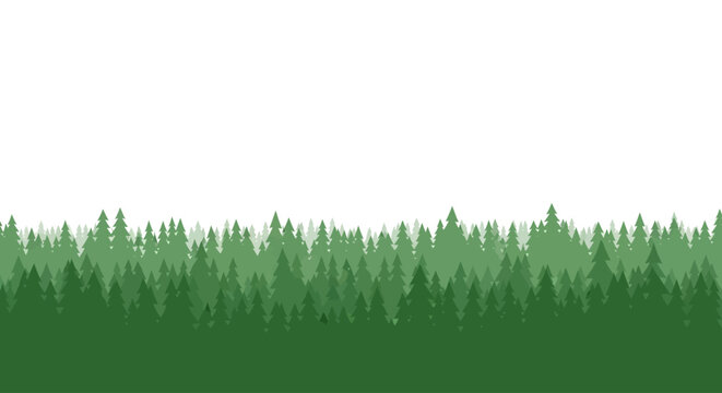 Green trees in a forest.