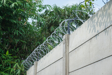 A concrete panel fence topped with sharp galvanized spiral barbed wire. This security wall stands against a lush green backdrop of lush bamboo foliage and a clear blue sky. © Abu Tami