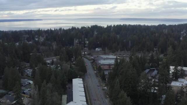 Neighbourhood of Esperance in Edmonds Washington State Drone Aerial View