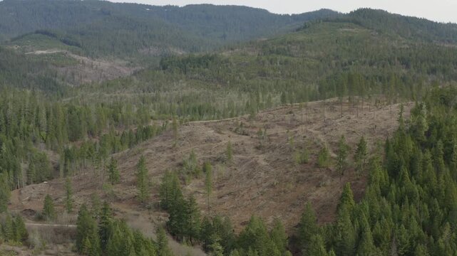 Evergreen Forests with Clearcuts Showing Oregon Wilderness Drone Aerial View