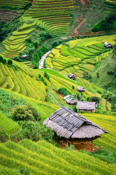 Stairway to Heaven: Lush green rice terraces cascade down a hillside, dotted with traditional huts, creating a breathtaking rural landscape.