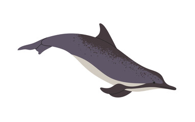 Fototapeta premium Happy wild dolphin is swimming in water. Exotic animal of ocean with fins is floating underwater. Wildlife of the Atlantic sea. Undersea fauna. Flat isolated vector illustration on white background