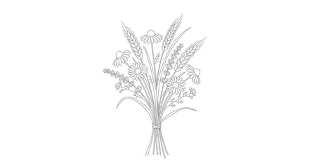 Fototapeta premium Line art drawing of a bouquet of wildflowers and grains.