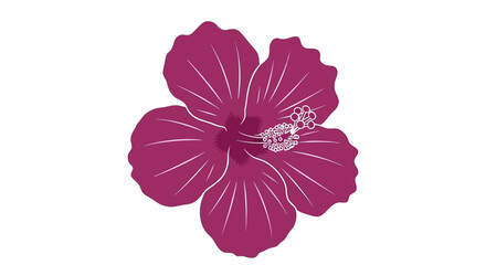 Large Pink Magenta Hibiscus Flower Closeup. © Wulan