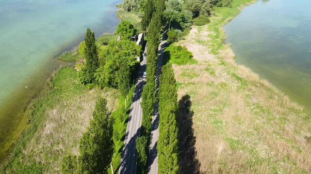 Car driving along tree lined causeway toward Reichenau