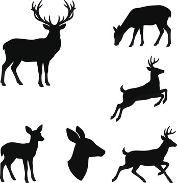 Deer silhouettes showcase various poses and antler styles in a vector file.