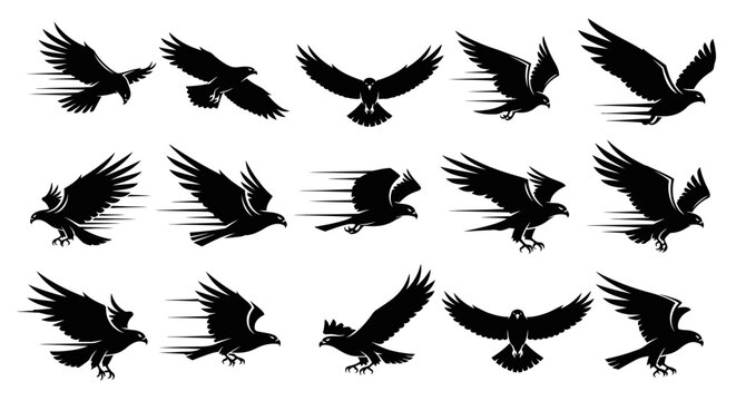 Black silhouettes of flying birds in air.