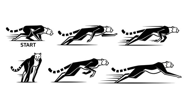 Dog Sprinting in Six Stages Fast.