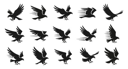 Multiple Black Birds in Flight Formation. © pipitsgpanjang