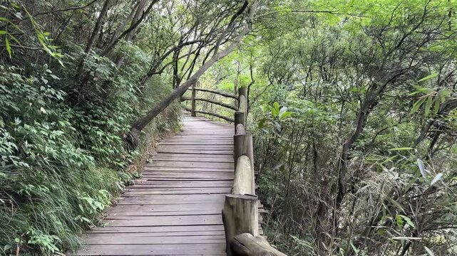 A perspective shot showing the strong leading lines of a well-maintained wooden bridge leading the viewer towards distant mountains and the horizon.