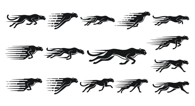 Multiple cheetah running motion sequence.