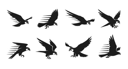 Obraz premium Silhouette of flying eagle birds.