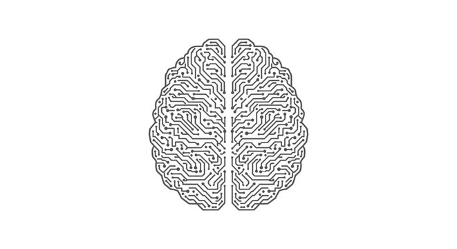 Human Brain Illustration Gray Scale.