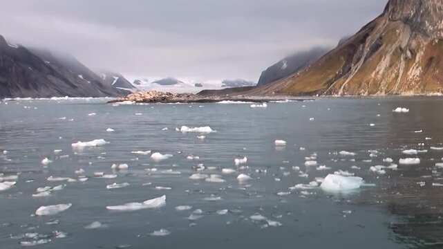 A daring expedition unfolds across the Arctic Ocean. Icy waters teem with floating chunks, set against a backdrop of colossal, mist-shrouded peaks.