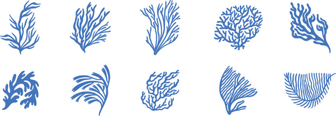 Blue coral reef icons collection with hand drawn ocean plants and marine branches. Minimal underwater botanical vector elements for tropical branding stickers and sea life illustrations. © Parul