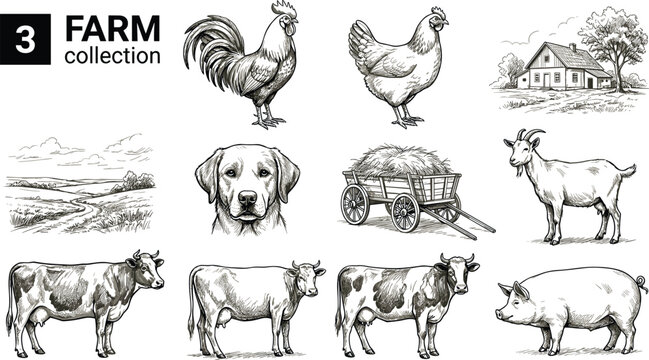 Vintage Farm Animal Collection Vector Illustration with Cow Pig Goat Rooster and Rural Countryside Engraving Artwork Set