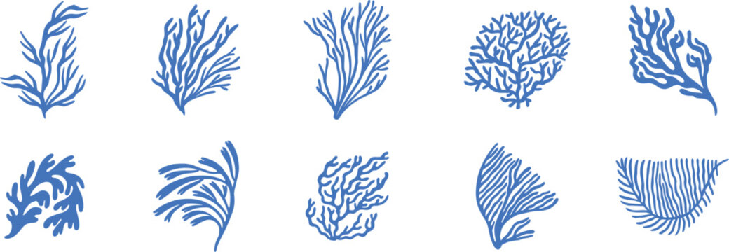 Blue coral reef icons collection with hand drawn ocean plants and marine branches. Minimal underwater botanical vector elements for tropical branding stickers and sea life illustrations.