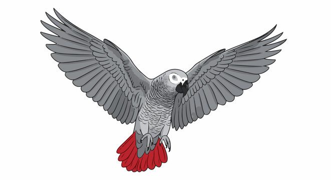A grey parrot with bright red tail feathers is depicted in mid-flight with wings fully extended