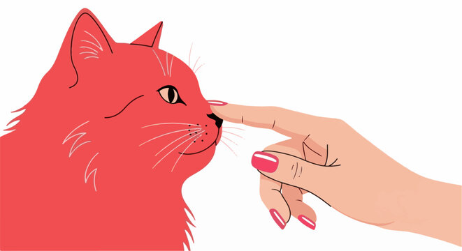 A pink cat's nose is gently touched by a human finger with pink nails