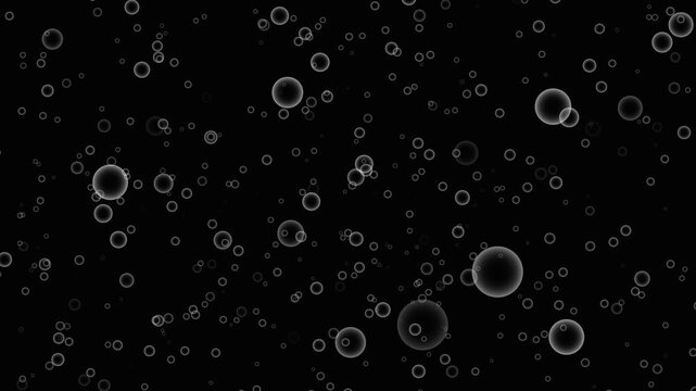 Front View of Bubbles Raising on Black Background in Slow Motion. Beautiful motion bubbles on white backgrounds.Slow-motion shot of shining soap bubbles slowly ascending. Slow rising air bubbles.