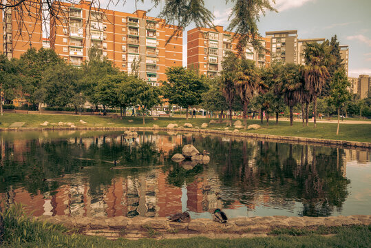 Parque con estanque y plantas